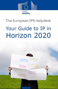 Guide to IP in Horizon 2020